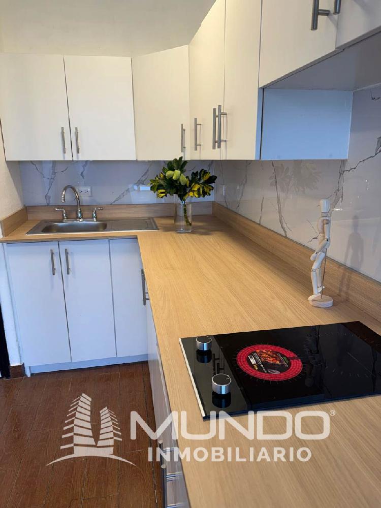 APARTAMENTO EN RENTA UNA HABITACIÓN/ Z. 9 - Image 1