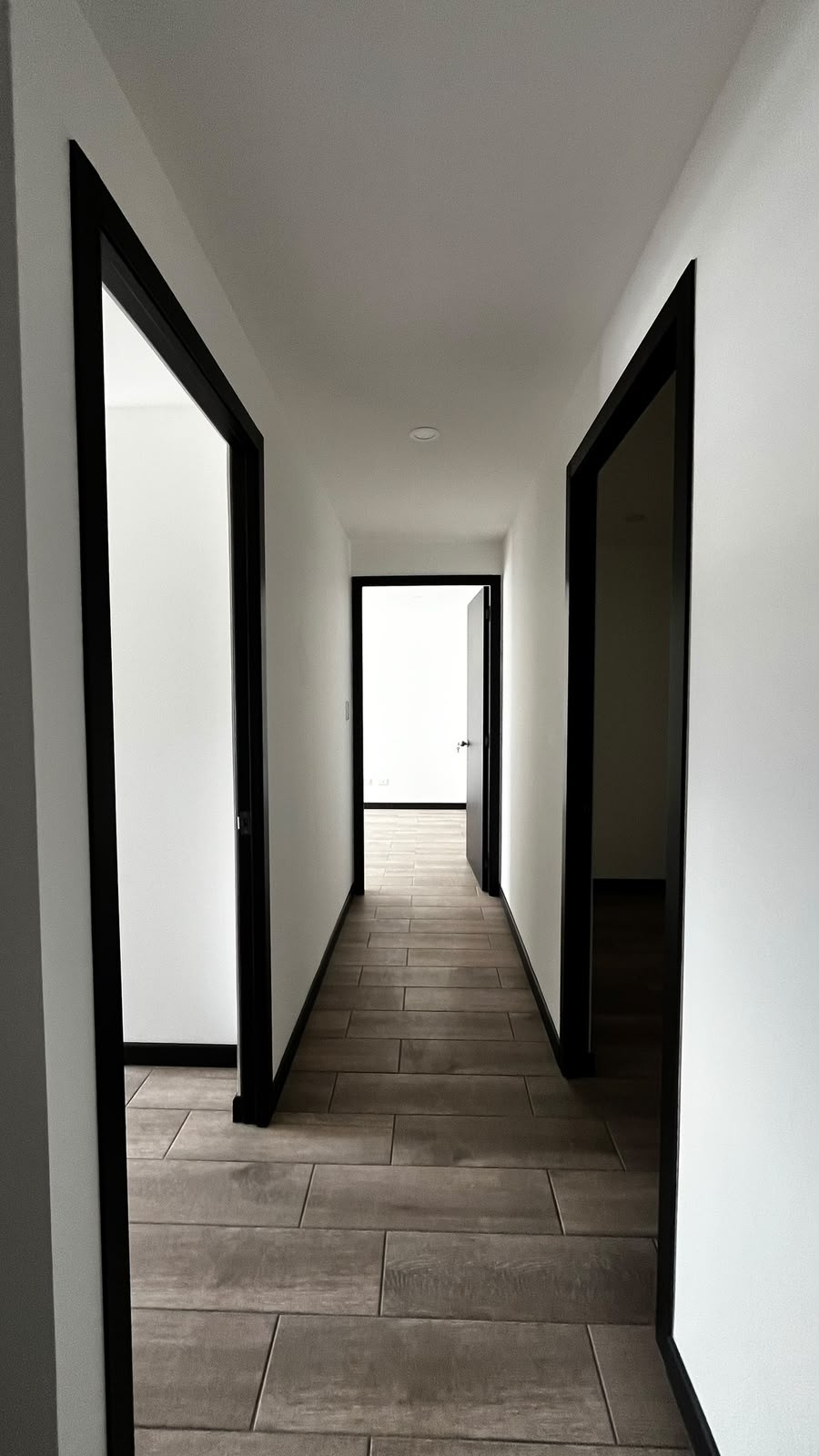 Apartamento en Renta Petapolis - Image 1