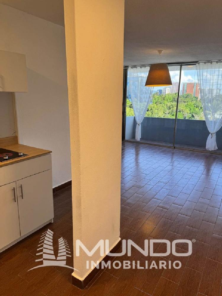 APARTAMENTO EN RENTA UNA HABITACIÓN/ Z. 9 - Image 3